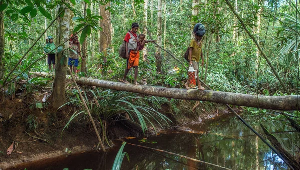 Indonésie Irian Jaya Hedvika Provincie Jow Vesnice Května Lidé Přes — Stock fotografie