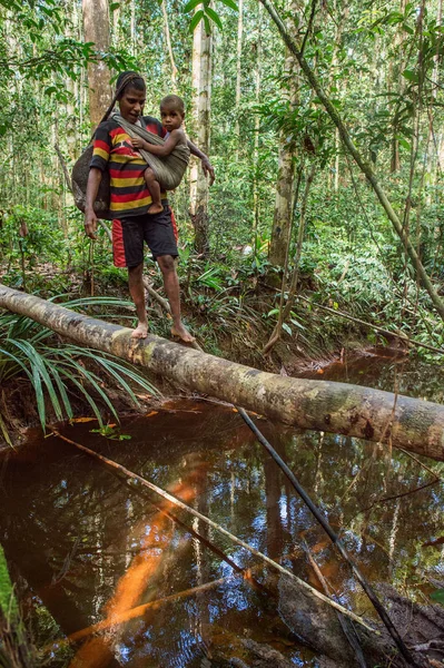 Endonezya Irian Jaya Asmat Jow Köyü Mayıs Insanlar Nehir Ağaç — Stok fotoğraf