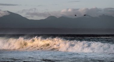 Sunset Deniz Burnu. Okyanusun yüzeyindeki güçlü okyanus dalgaları. Sığ bir kıyıda dalga kırıkları. Fırtınalı hava, fırtınalı bulutlar gökyüzü arka planı.