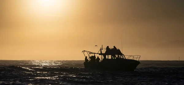 Silhuett Speed Båt Havet Vid Soluppgången Sydafrika — Stockfoto