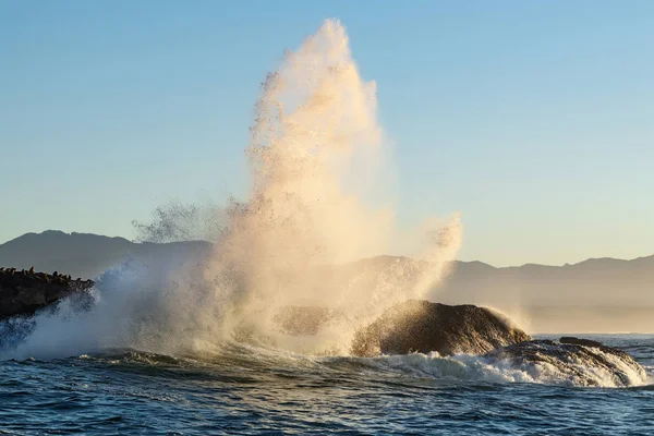 Paisagem Marinha Manhã Tempestade Colônia Focas Ilha Rochosa Oceano Ondas — Fotografia de Stock