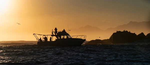 Silhouette Del Motoscafo Nell Oceano All Alba Sudafrica — Foto Stock