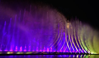 Linh Phuoc Pagoda ya da Ve Chai Pagoda - Vietnam 'daki Dalat şehrinde bir Budist ejderha tapınağı..