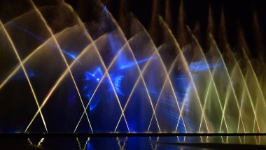 Linh Phuoc Pagoda ya da Ve Chai Pagoda - Vietnam 'daki Dalat şehrinde bir Budist ejderha tapınağı..