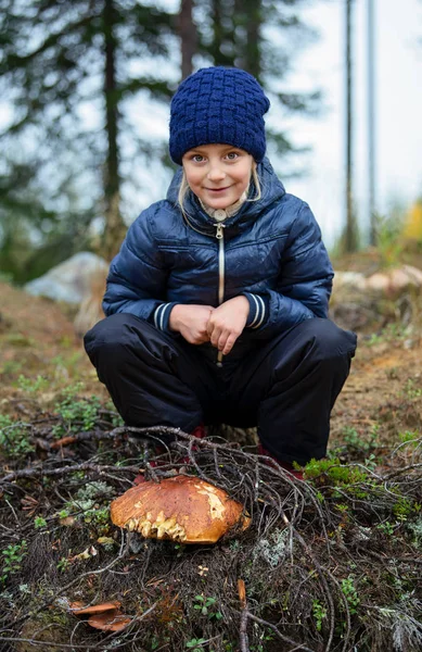 Cute Little Girl Picking Mushrooms Autumn Forest — Stock Photo, Image