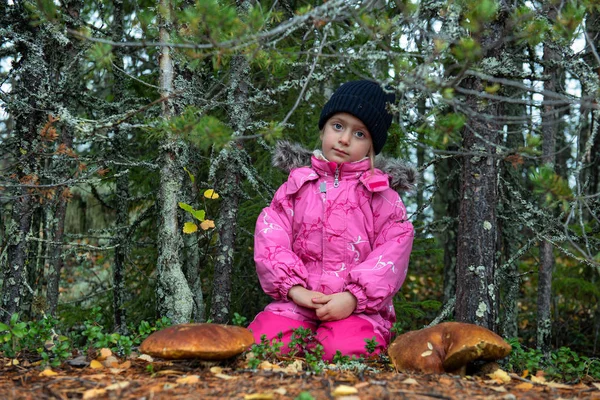 Милая Маленькая Девочка Собирает Грибы Осеннем Лесу — стоковое фото