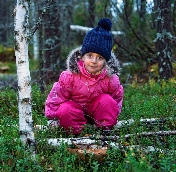 Carino Bambina Raccogliendo Funghi Nella Foresta Autunnale — Foto Stock