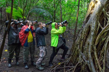 Tangkoko, Kuzey Sulawesi, Endonezya - 15 Ocak 2019: Bir grup fotoğrafçı-turist Tangkoko Ulusal Parkı Kuzey Sulawesi Endonezya 'da fotoğraf çekiyor