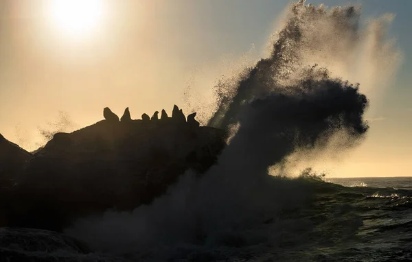Seascape Morgonen Kolonin Sälar Den Steniga Stora Vågor Med Stänk — Stockfoto