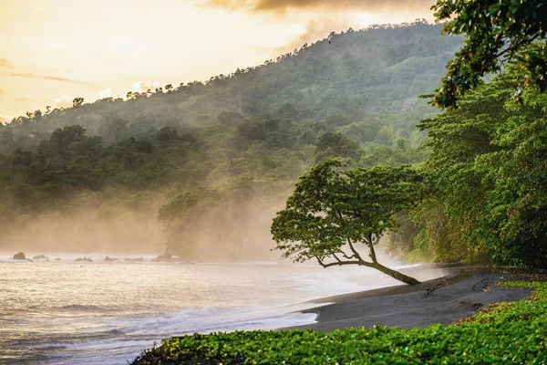 丹後湖国立公園の黒砂火山ビーチ タンコココ国立公園の海岸に早朝の霧 スラウェシ島 インドネシア — ストック写真
