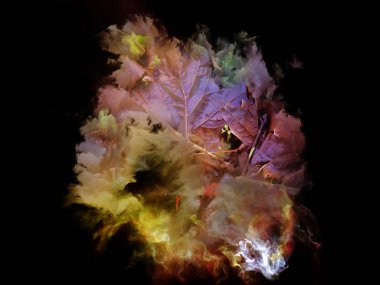 Gelişen rüya alanı