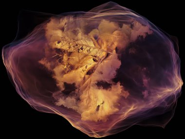 gelişen zihin parçacık