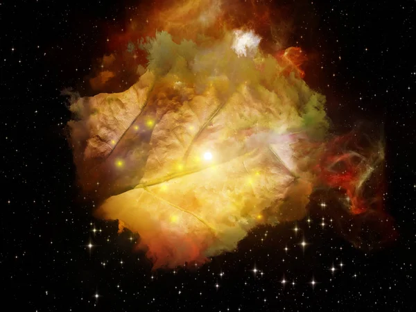 Görselleştirme rüya alanı