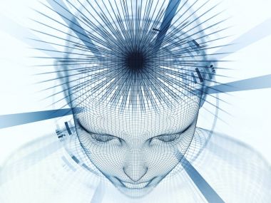 Zihnin çeşitliliği