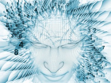 Sayısal akıl kavramı