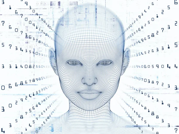 Sayısal akıl kavramı