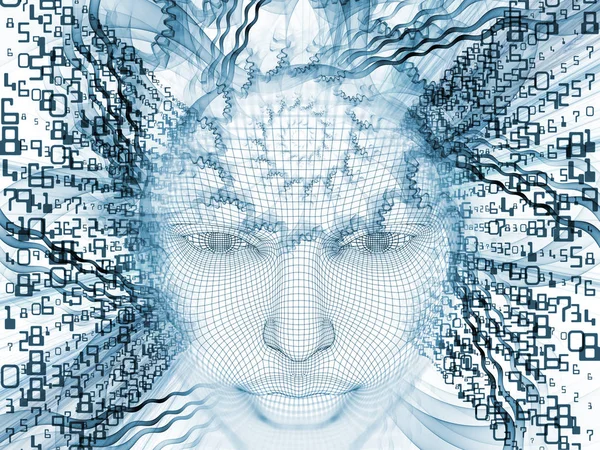 Sayısal akıl kavramı