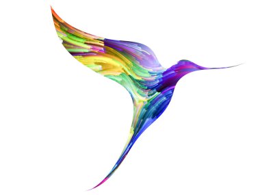 Kuş ve renk arka plan