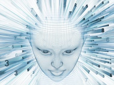 Sayısal akıl kavramı