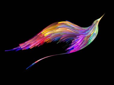 Kuş ve renk arka plan