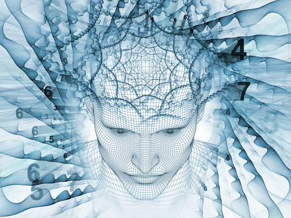 Sayısal akıl kavramı