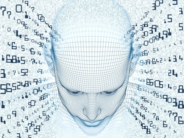 Sayısal akıl kavramı