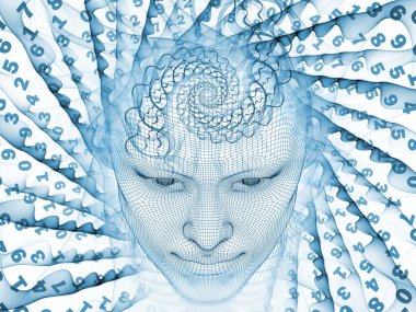 Sayısal akıl kavramı