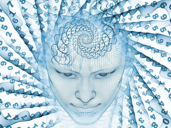 Sayısal akıl kavramı