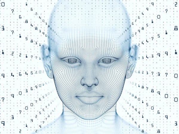 Sayısal akıl kavramı