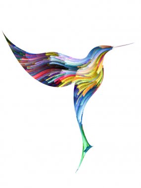 Kuş ve renk arka plan