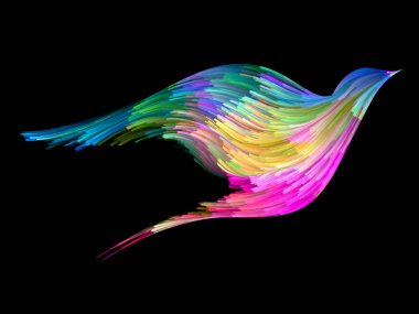 Kuş ve renk arka plan