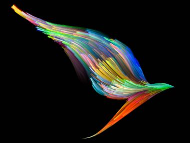 Kuş ve renk arka plan