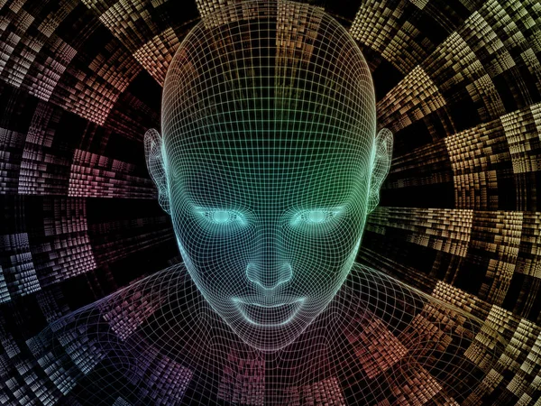 Dijital kimlik krallıkları