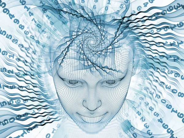 Sayısal akıl kavramı