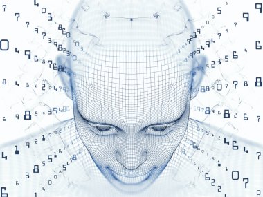 Sayısal akıl kavramı