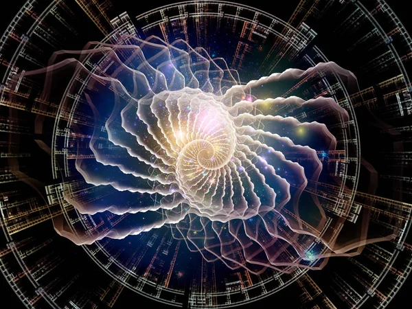 Radyal fraktal doku unsurları