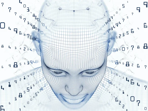 Sayısal akıl kavramı