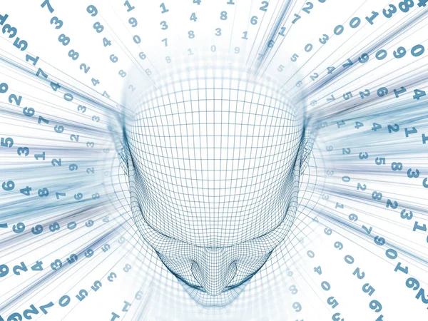 Sayısal akıl kavramı