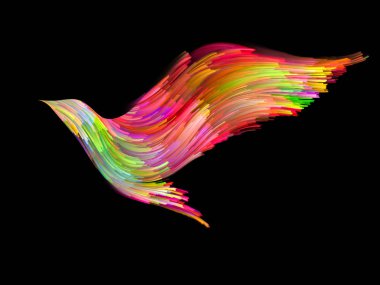 Kuş ve renk arka plan