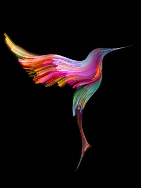 Kuş ve renk arka plan