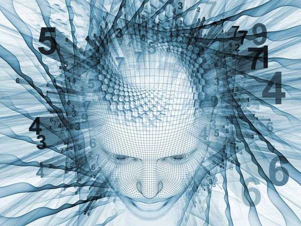 Sayısal akıl kavramı