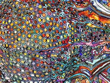 Kurşunlu cam yanılsaması