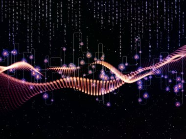 Tamsayılar krallıkları