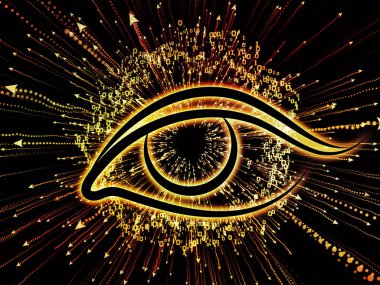 Görsel bilgi krallıkları