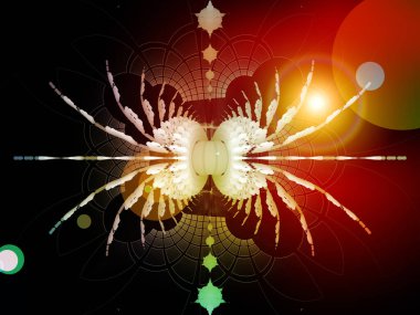 Matematik Örümcekleri. Simetrik fraktal yapıların etkileşimi ve matematik ve modern teknoloji üzerine ışık.