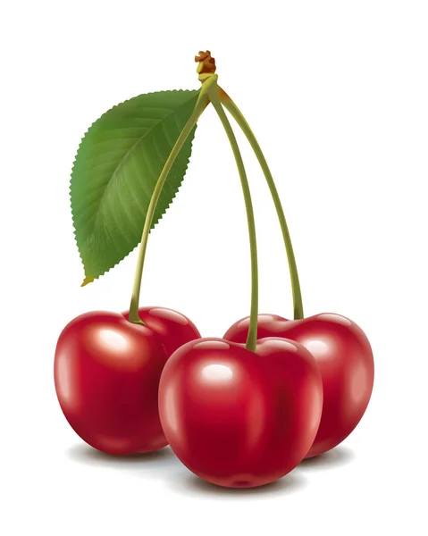 Cherry with leaf — Stock Photo, Image