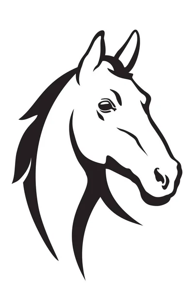 Horse head illustration — Stock Photo, Image