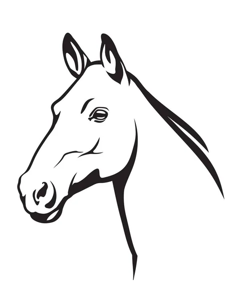 Horse head illustration — Stock Photo, Image