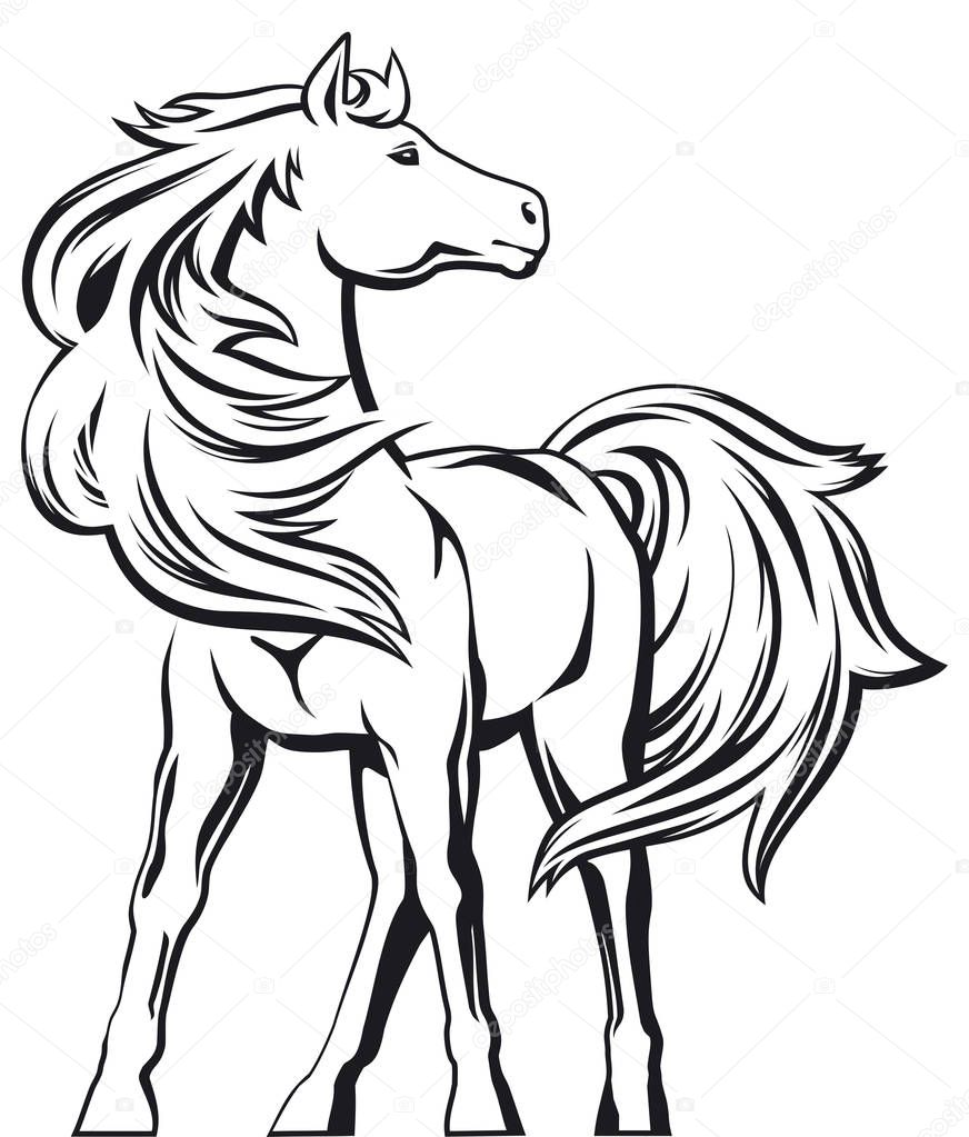 Horse illustration for your projects