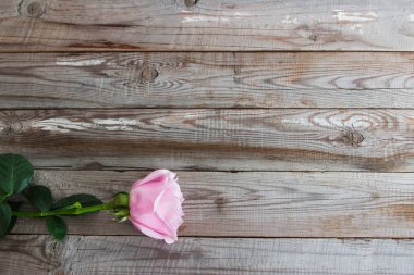 Ahşap arka plan üzerinde bir pastel gül.